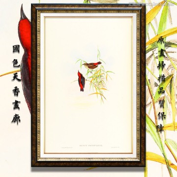 手繪花鳥 畫廊品質(zhì)