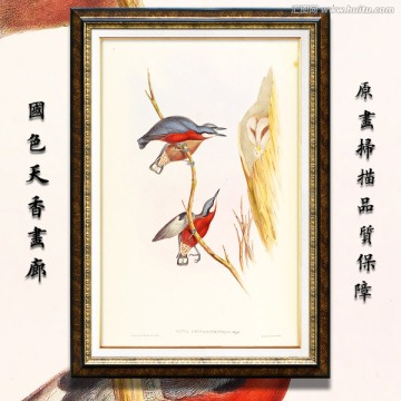 手繪花鳥 畫廊品質(zhì)