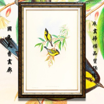 手绘花鸟 画廊品质