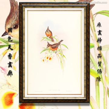 花鳥油畫 高清品質(zhì)