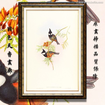 花鳥油畫 高清品質(zhì)