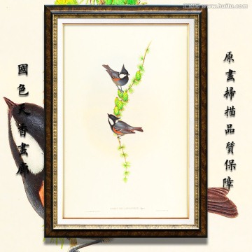 花鳥油畫 高清品質(zhì)