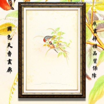 花鳥油畫 高清品質