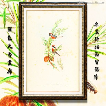 花鳥油畫 高清品質(zhì)