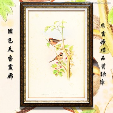 花鳥油畫 高清品質