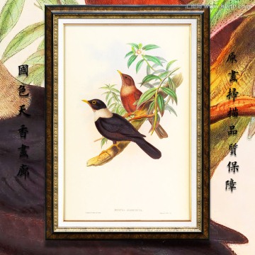 鳥類油畫 高清品質