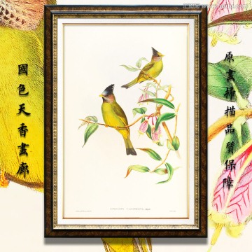 鳥類油畫 高清品質(zhì)