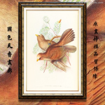 花鳥飛禽油畫 高清品質(zhì)