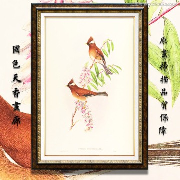 清新淡雅花鸟油画 画廊品质