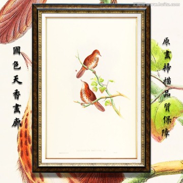 清新淡雅花鸟油画 画廊品质