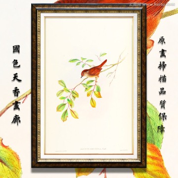 清新淡雅花鸟油画 画廊品质