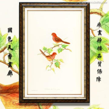 清新淡雅花鸟油画 画廊品质