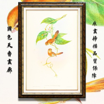 清新淡雅花鸟油画 画廊品质