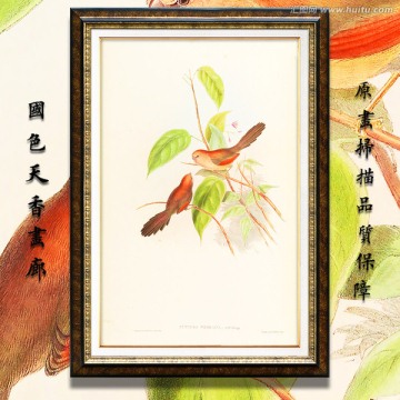 清新淡雅花鸟油画 画廊品质