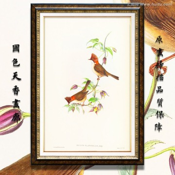 手繪花鳥裝飾畫 畫廊高清品質(zhì)