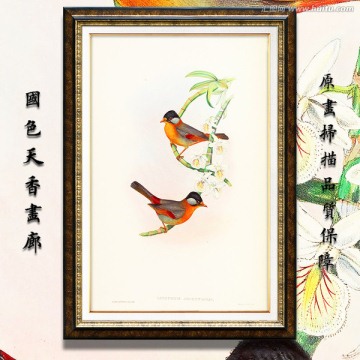 手繪花鳥裝飾畫 畫廊高清品質