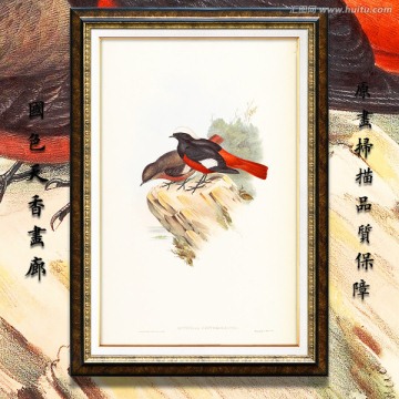 小鳥(niǎo)油畫 畫廊品質(zhì)