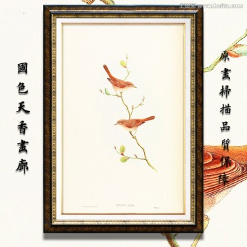 小鳥(niǎo)油畫(huà) 畫(huà)廊品質(zhì)