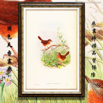 美克美家花鳥油畫 畫廊品質(zhì)