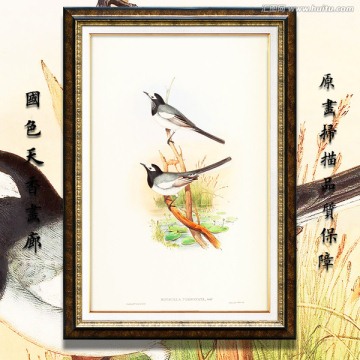 美克美家花鳥油畫 畫廊品質(zhì)
