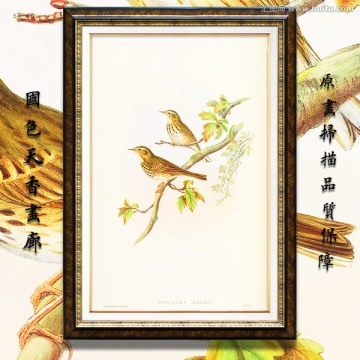 美克美家花鳥油畫 畫廊品質(zhì)