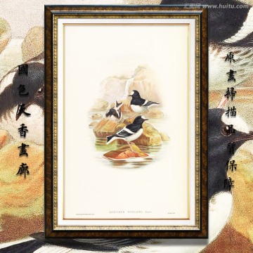 美克美家花鸟油画 画廊品质