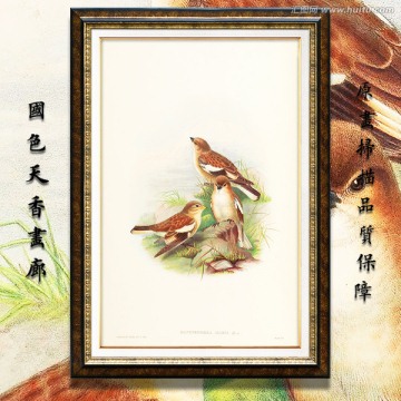 美克美家花鸟油画 画廊品质