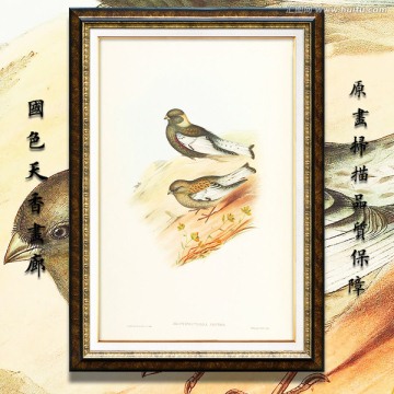 美克美家花鸟油画 画廊品质