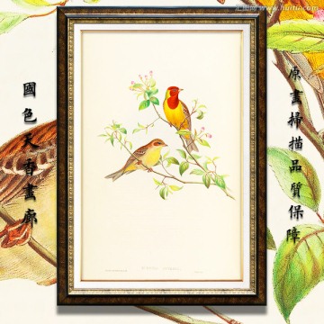 高清花鳥裝飾畫 畫廊品質(zhì)