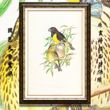 高清花鳥(niǎo)裝飾畫(huà) 畫(huà)廊品質(zhì)