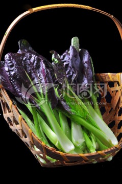 紫衣青菜