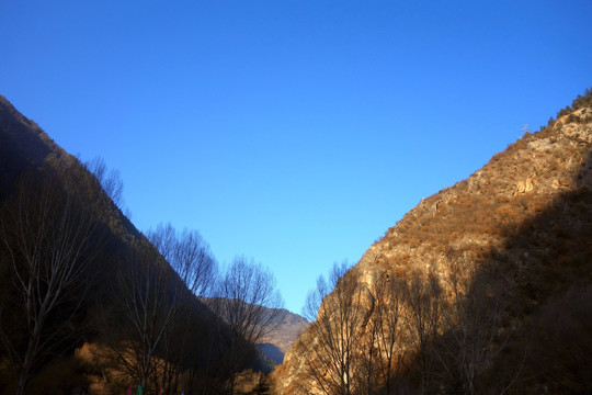 九寨沟 峡谷 树影 蓝天 山