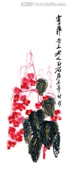 齊白石 秋海棠高清作品