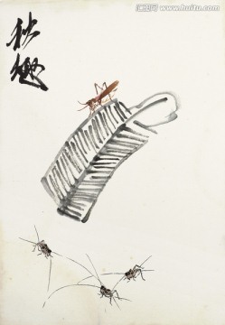 齊白石繪畫作品高清圖