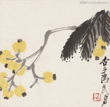 齊白石枇杷圖