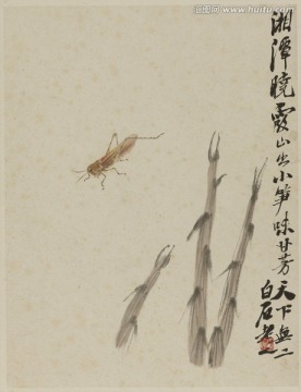 齊白石繪畫作品高清圖