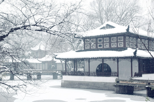 苏州拙政园雪景