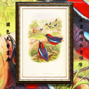 美麗鳥兒油畫 畫廊品質(zhì)