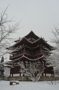 青龙寺