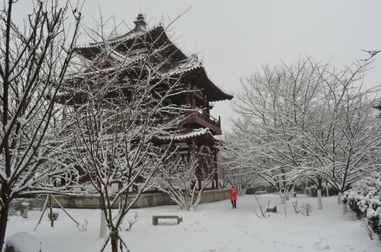 青龙寺