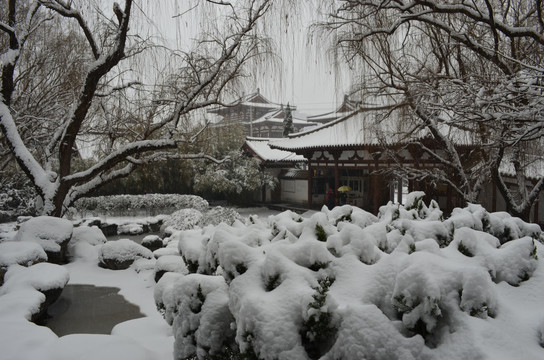 青龙寺