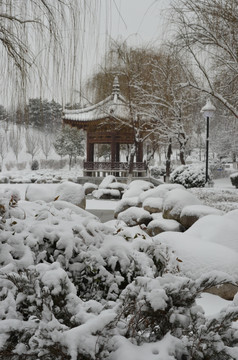 青龙寺