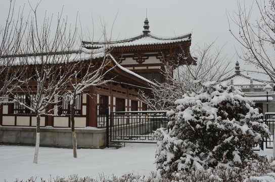 青龙寺