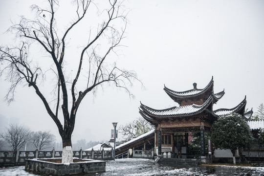 起义门雪景