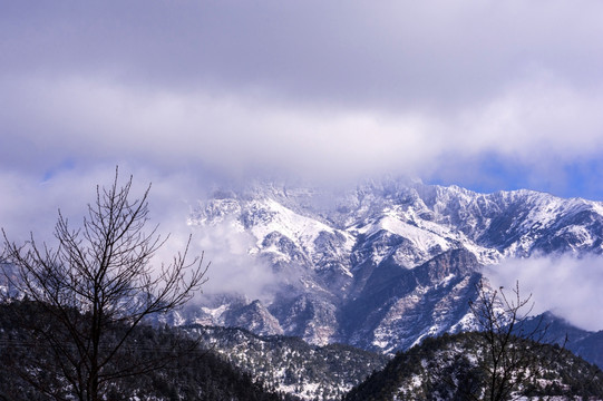 昆明轿子雪山