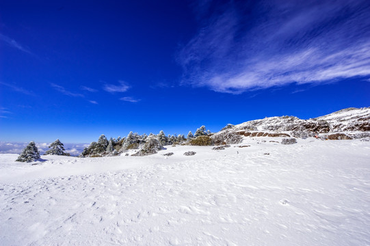 昆明轿子雪山