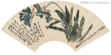 齊白石蝴蝶蘭圖扇紙本