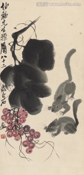 雙鼠葡萄藤