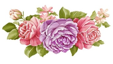 淡雅玫瑰（通道分層）