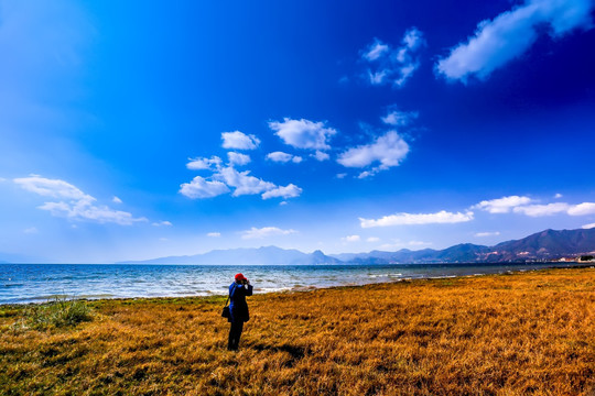 湖泊湿地